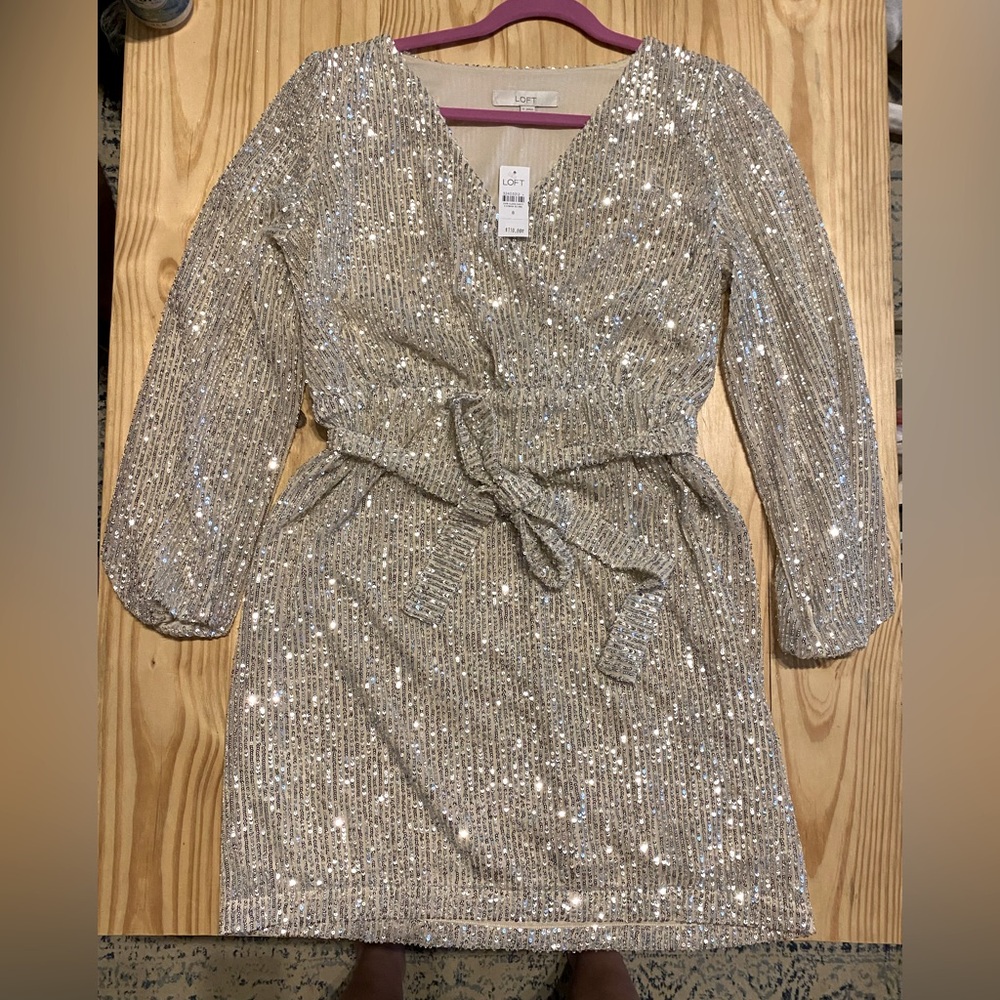 BNWT Loft Sequin Dress